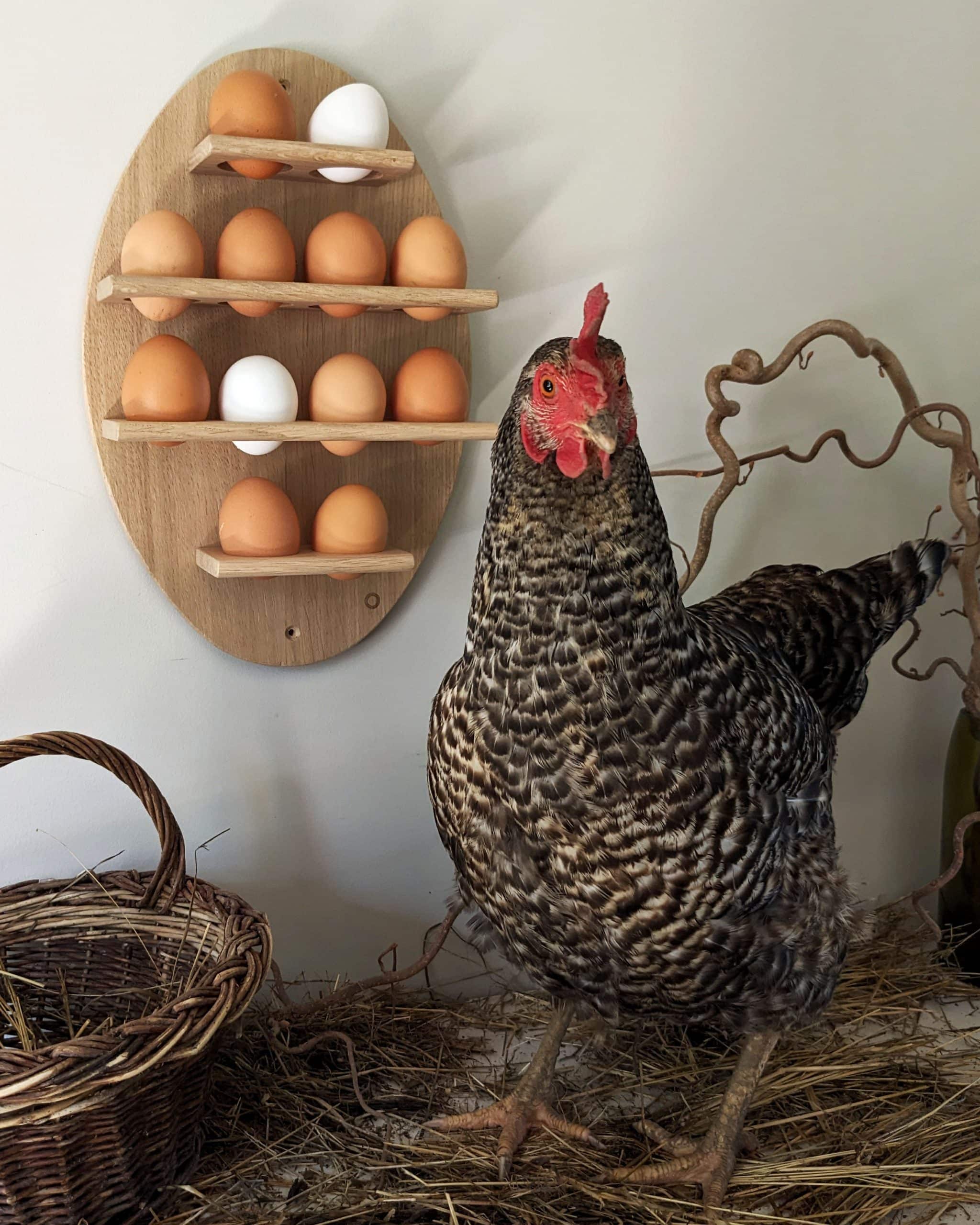 Support à Œufs En Bois Empilable 2 Niveaux | 10 Œufs | Design Poulet Créatif | Rangement Cuisine